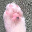 场地贡献人头像