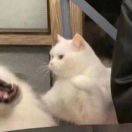 场地贡献人头像