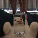 场地贡献人头像