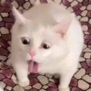 场地贡献人头像