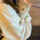 场地贡献人头像