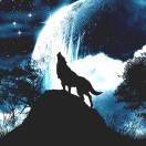 场地贡献人头像
