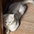 场地贡献人头像