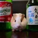 场地贡献人头像