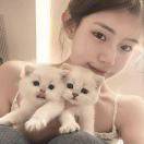 场地贡献人头像
