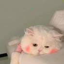 场地贡献人头像